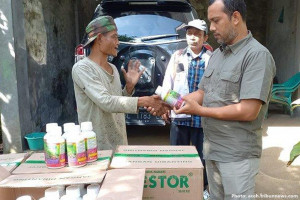 Dinas Pertanian dan Perkebunan Aceh Menyalurkan Bantuan Insektisida Nabati Untuk Tingkatkan Produksi Kakao di Aceh