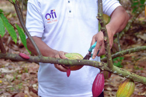 ofi Ambition to Create a Positive Cocoa Supply Chain Future through the Cocoa Compass Initiative